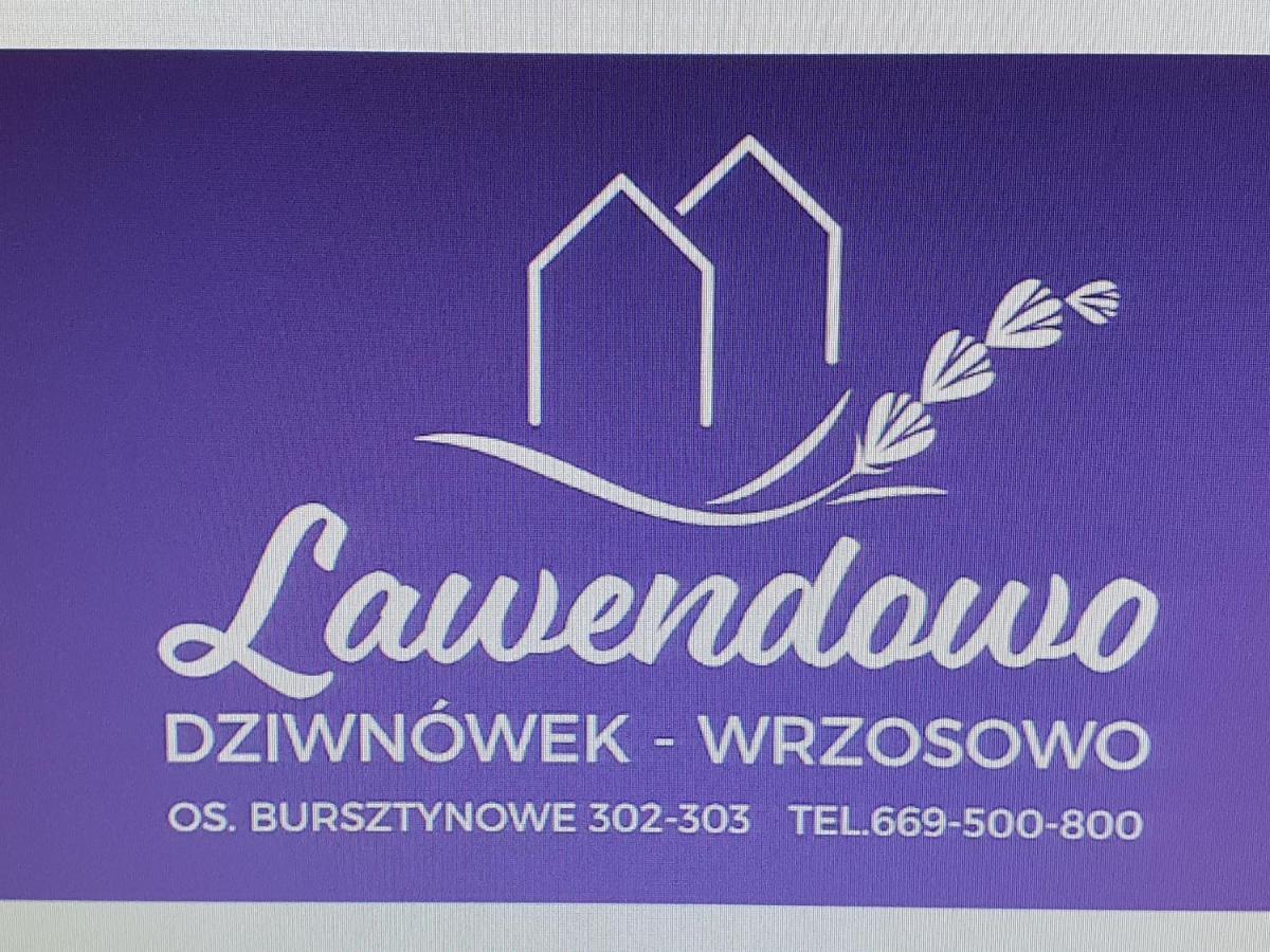 Lawendowo Vila Wrzosowo  Exterior foto